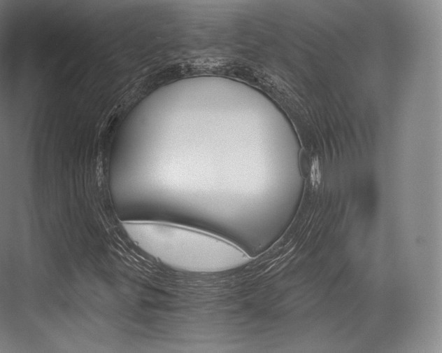 X0000076391299200610060853