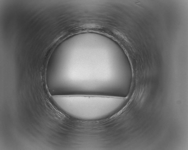 X0000076391305200610060853