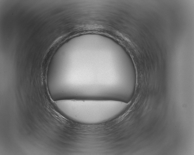 X0000076391306200610060853