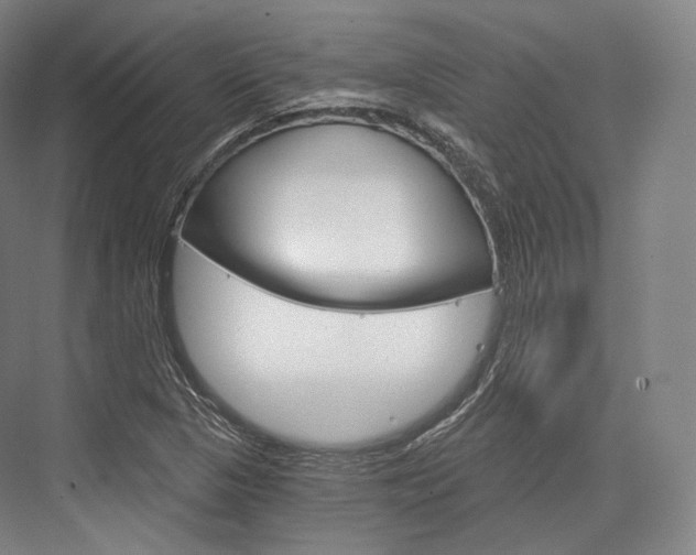 X0000076391313200610060853