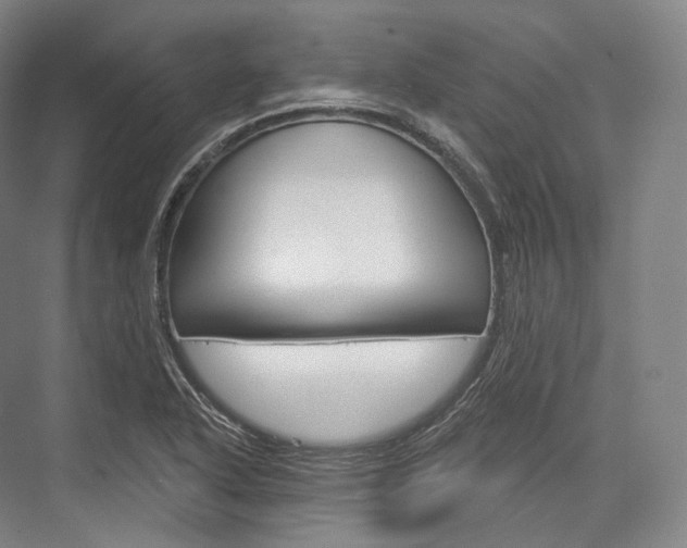 X0000076391318200610060853
