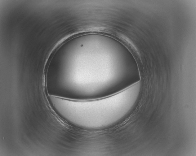 X0000076391324200610060853