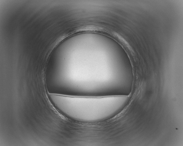 X0000076391329200610060854