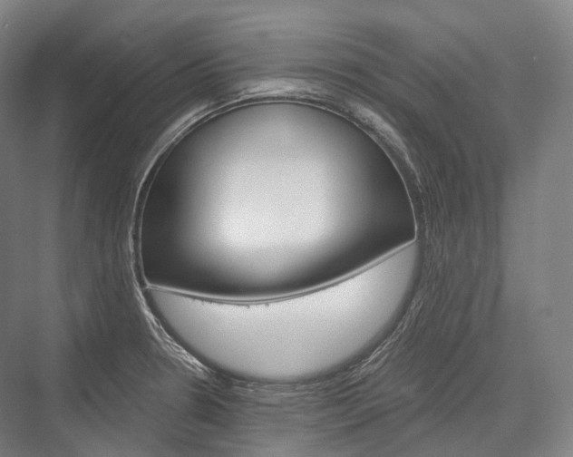 X0000076391330200610060854
