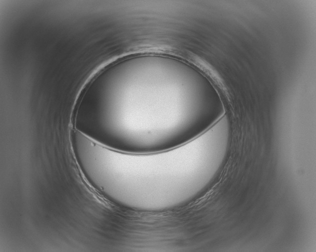 X0000076391332200610060854