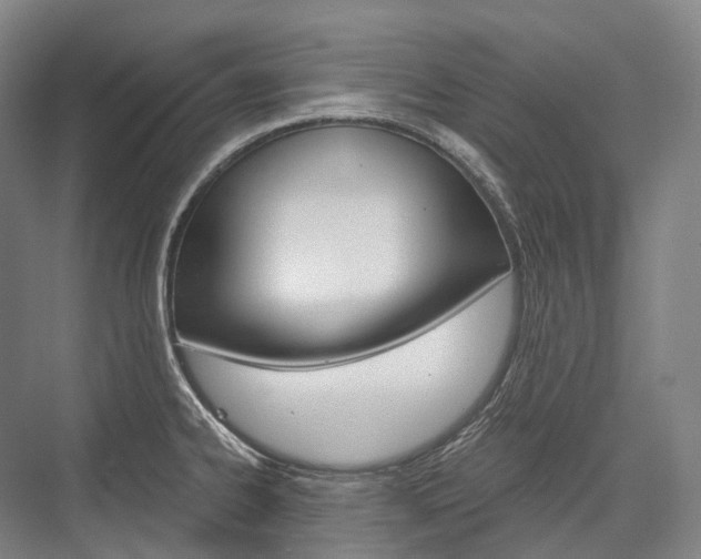 X0000076391334200610060854