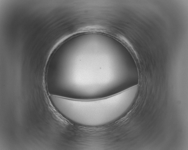 X0000076391336200610060854
