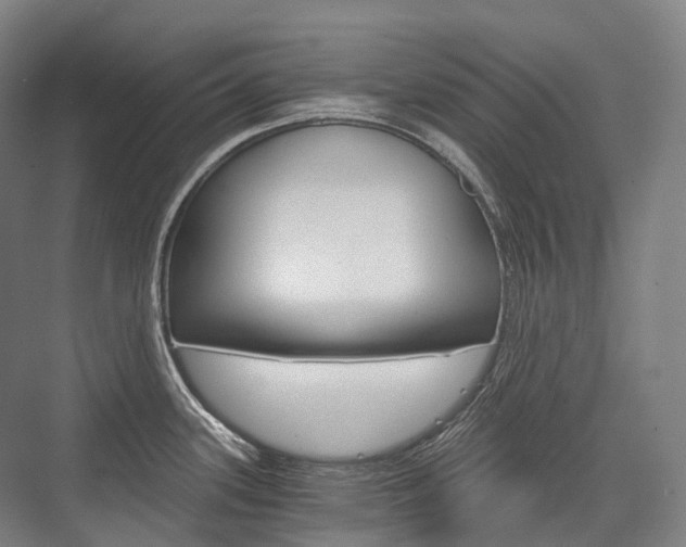 X0000076391339200610060854