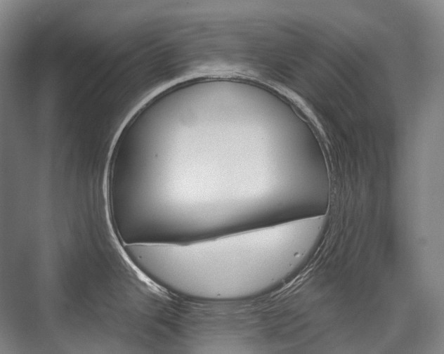 X0000076391343200610060854