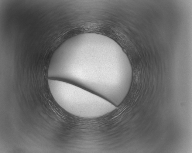 X0000076391346200610060853