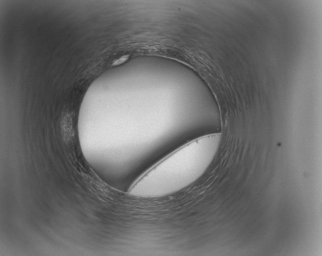 X0000076391347200610060853