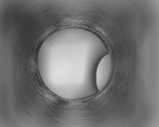 X0000076391354200610060853