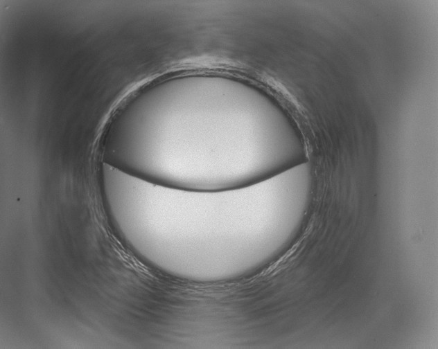 X0000076391358200610060853