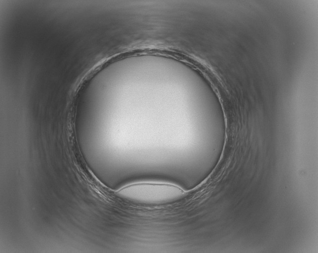 X0000076391359200610060853