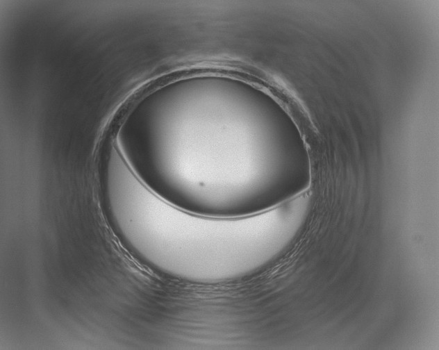 X0000076391360200610060853