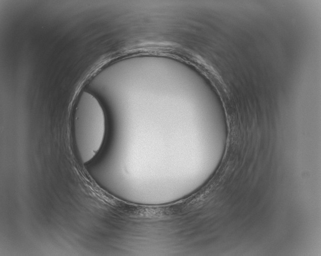 X0000076391362200610060853