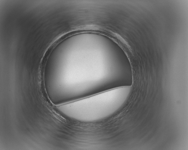 X0000076391364200610060853
