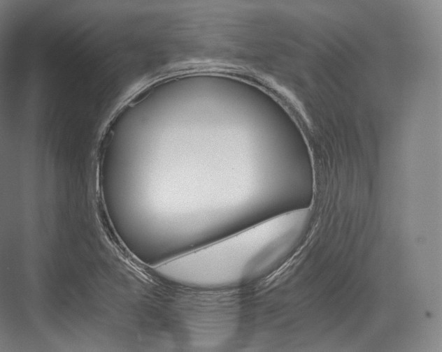 X0000076391365200610060853