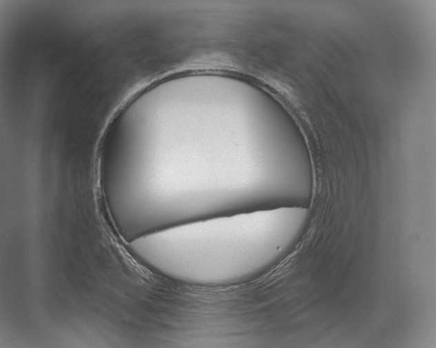 X0000076391366200610060853
