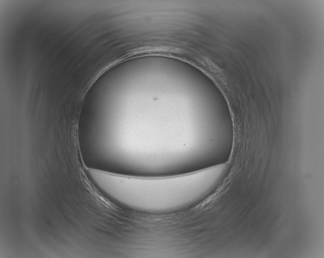 X0000076391369200610060853