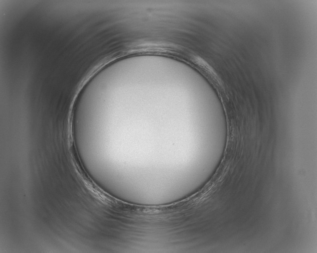 X0000076391370200610060853