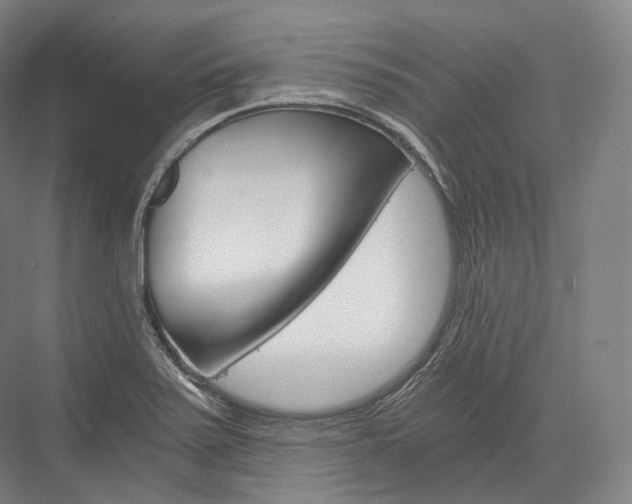 X0000076391371200610060853
