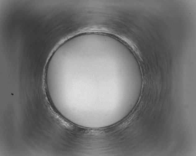 X0000076391374200610060853