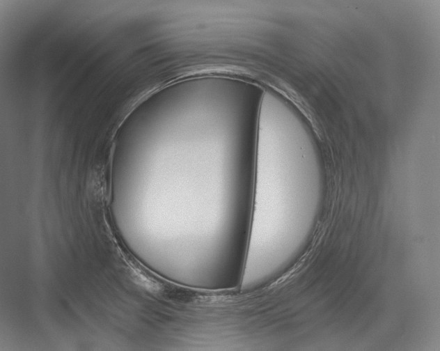 X0000076391377200610060852
