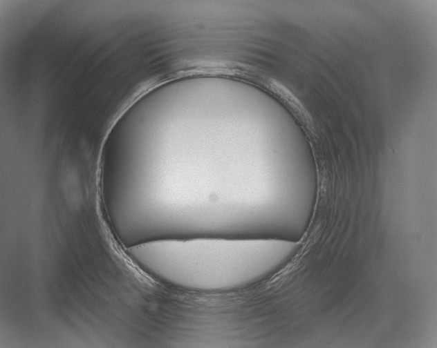 X0000076391378200610060852