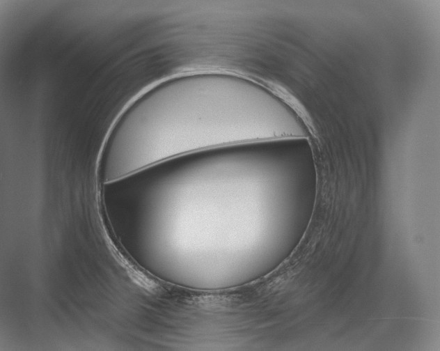 X0000076391380200610060852