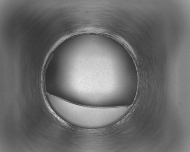 X0000076391381200610060852