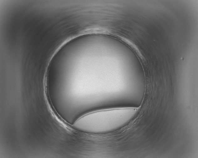 X0000076391383200610060852