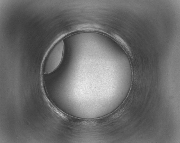 X0000076391384200610060852