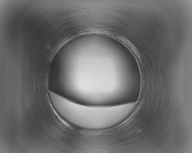 X0000076391385200610060852