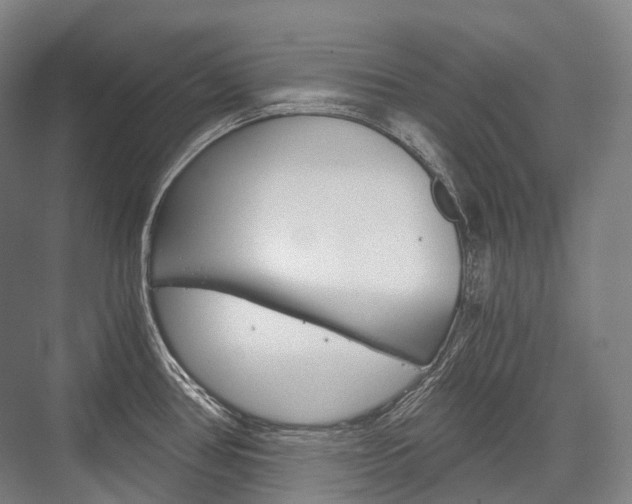 X0000076391386200610060852
