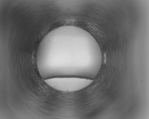 X0000076391395200610060851