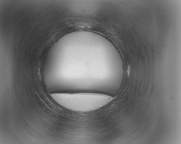 X0000076391396200610060851
