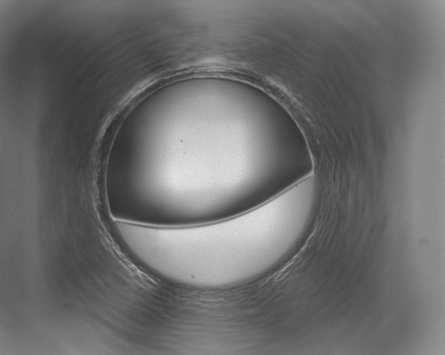 X0000076391410200610060852