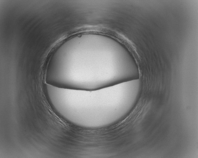 X0000076391411200610060852