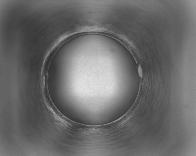 X0000076391414200610060852