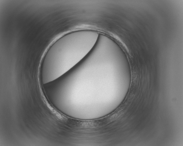 X0000076391421200610060852