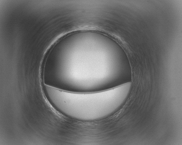 X0000076391422200610060852