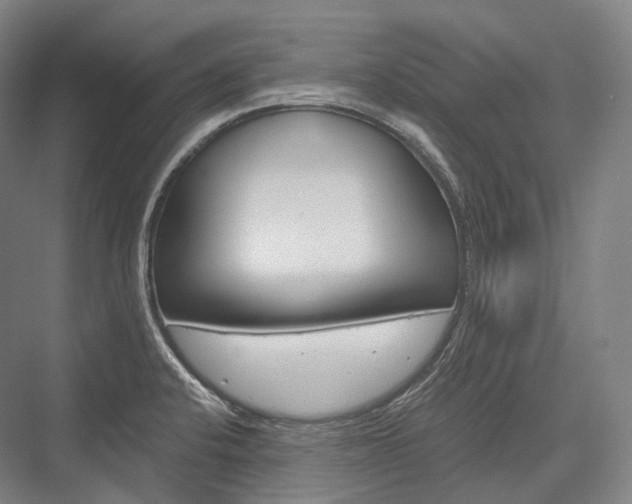 X0000076391424200610060852