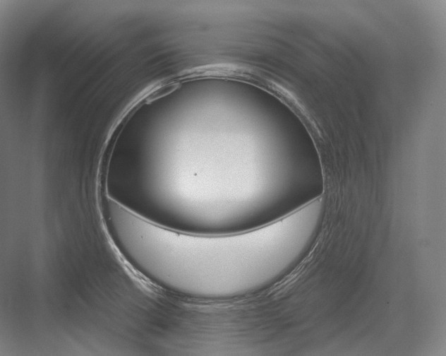X0000076391426200610060852