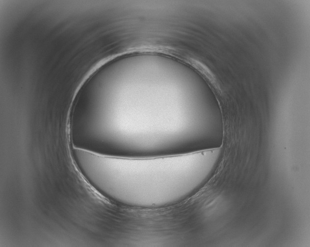 X0000076391428200610060852