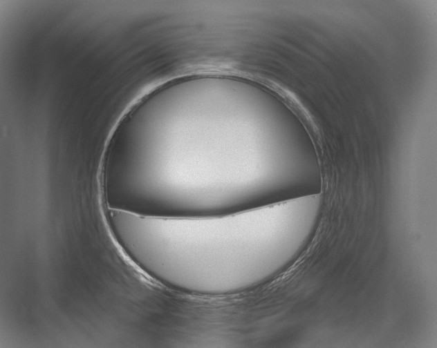 X0000076391432200610060852
