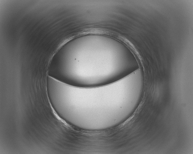 X0000076391433200610060852