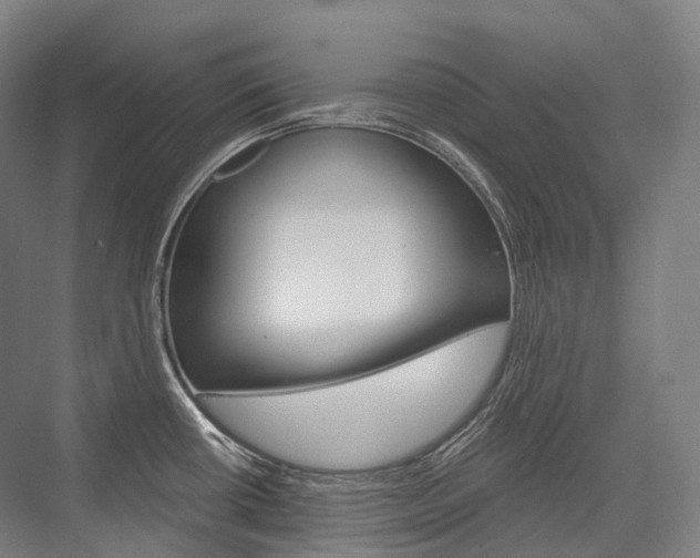 X0000076391434200610060852
