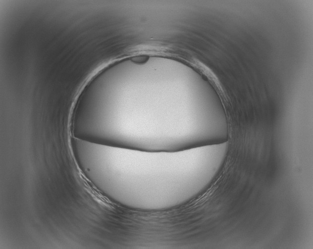 X0000076391435200610060852