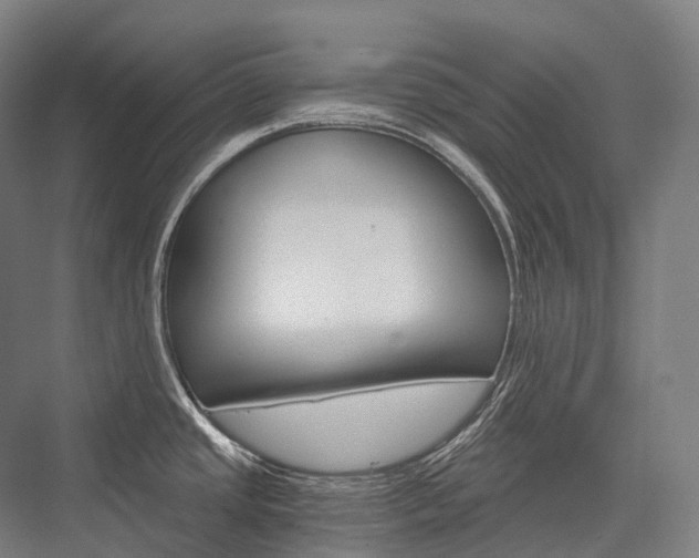 X0000076391437200610060852